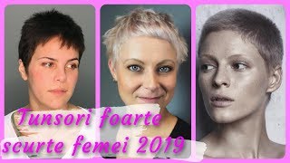 Tunsori Medii 2018
