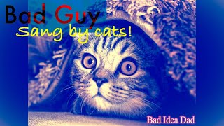 Cats Sing Bad Guy - Billie Eilish - Bad Idea Dad