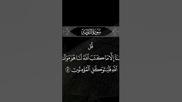 #سورة_التوبة #سورة#القرآن_الكريم #لايك #اكسبلور