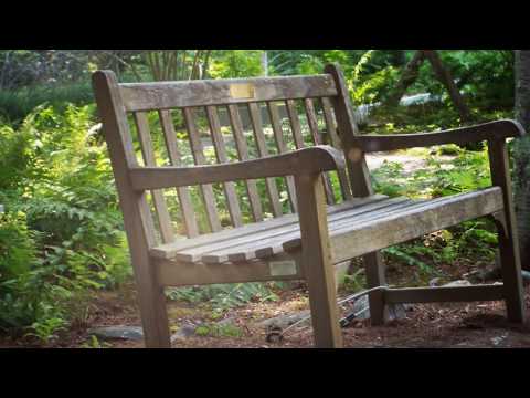 Bench In The Park Solitude And Peace Youtube
