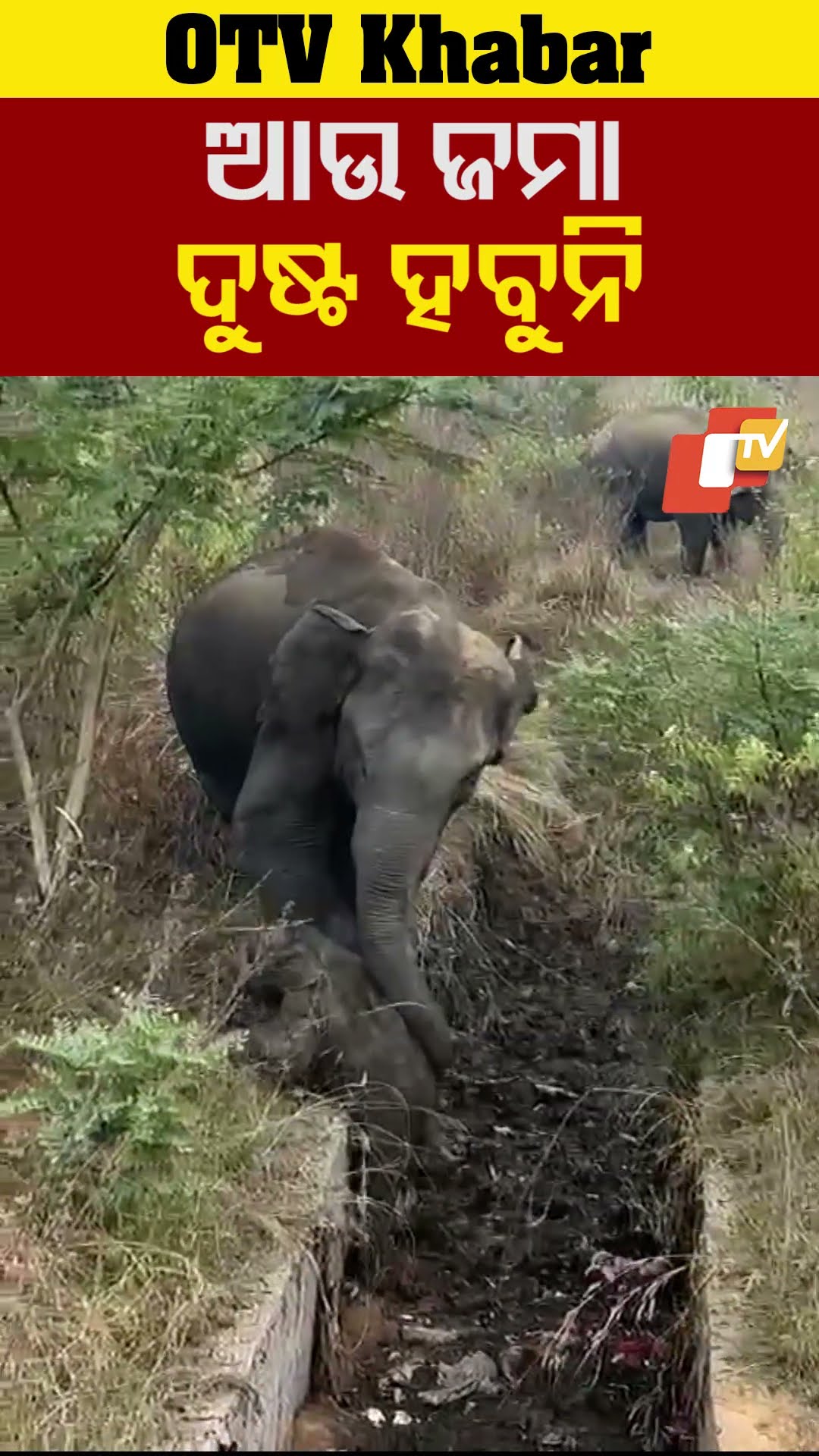 ଆଉ ଜମା ଦୁଷ୍ଟ ହେବୁନି