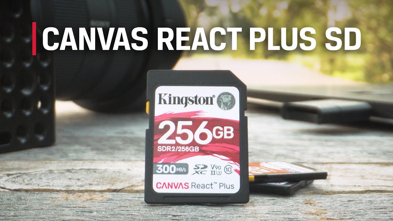 Kingston Technology - Carte Micro SD Industrielle avec Lecteur SD