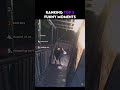 Ranking Top 5 Funny Moments | Part 11