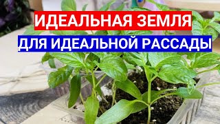 Лучшая Земля Без Заразы Для Рассады Томатов - Почвобрикет. Взойдут Все Семена!