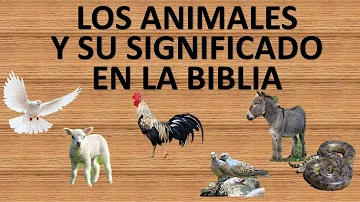 ¿Qué animal representa Dios?