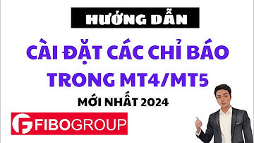 Hướng dẫn cài đặt các chỉ báo trên MT4 mới nhất 2024