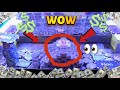 HUGE PYRAMID OF QUARTERS INSIDE A HIGH RISK COIN PUSHER! $500 Buy In!