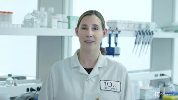 Visium Tissue Optimization Protocol | Tissue Staining