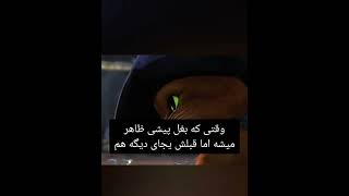 میدونستی توی انیمیشن گربه چکمه پوش اخرین ارزو