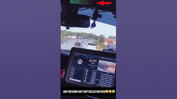 this what cops sees when they read your licence plate