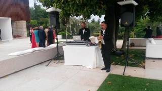 Saxophone Live Act