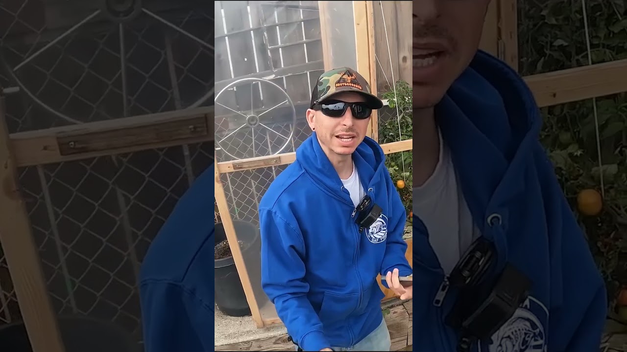 Let's build a mini tomato greenhouse!