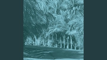 Paradise Like Moods for Long Vacations