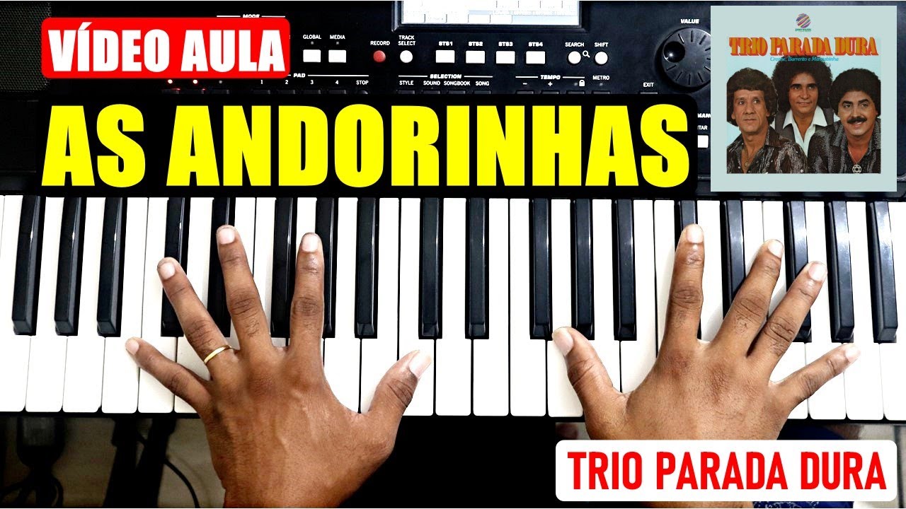 VÍDEO AULA AS ANDORINHAS NO TECLADO - TUTORIAL PARA INICIANTES
