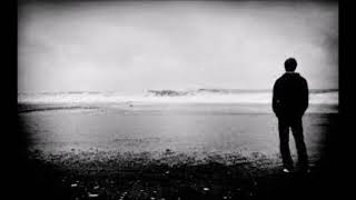 Bülbül Gibi Düştüm Zara