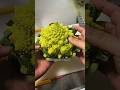 The Most Unique Cauliflower in the World! 🥦 😱 #shortvideo