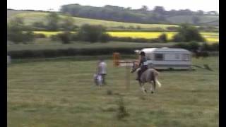 Pixie Working Hunter 140609