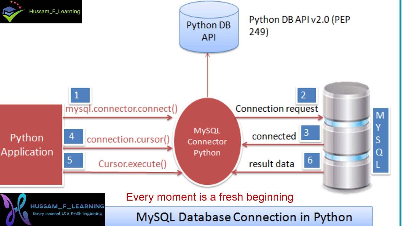 Качество данных на python. Питон 16.