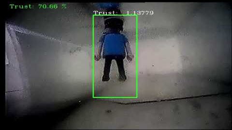 Underwater Object Detection with Computer Vision