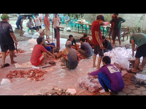 Qurban Di Salakan 2