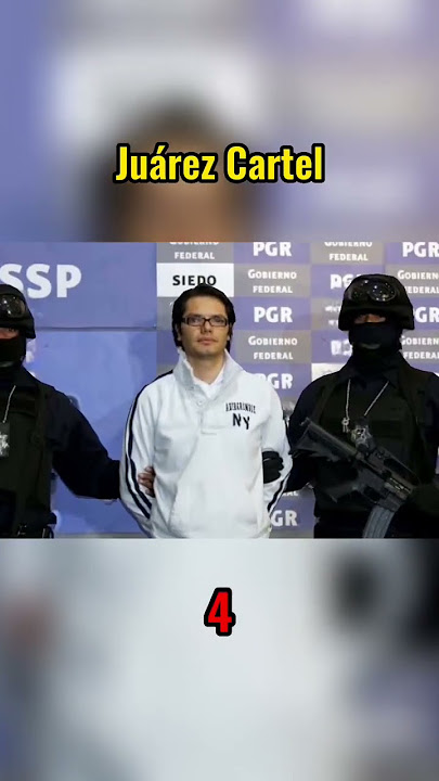 Most Dangerous Cartels In Mexico #shorts