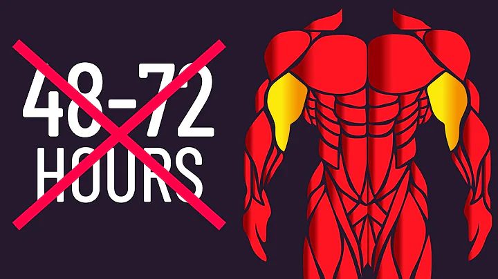 How Long Should You Wait to Train a Muscle Again?