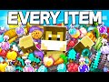 I collected every item in hardcore minecraft
