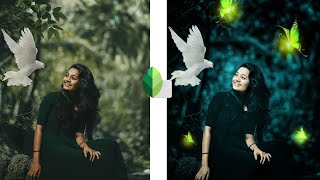 snapeed photo editing / How to edit photos in Snapchat from camera roll screenshot 4