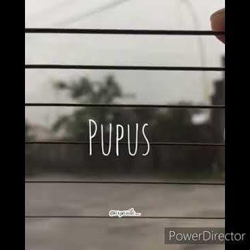 Story WA (Pupus-Dewa) Akustik