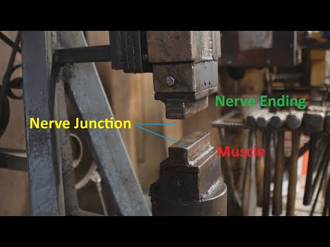 Where has Big Dog Forge Been? Blacksmith Science