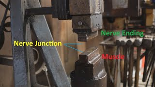Where has Big Dog Forge Been? Blacksmith Science