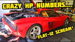 The project ferrari testarossa is almost ready for it's major, but
before we take engine out of car, wanted to see what it will put down
on dy...