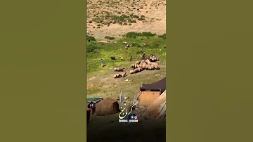 میکس کلیپ بانو خانگل مصرزاده و حجت محبوب 