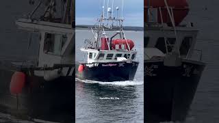 F/V “Island Allstar ⭐️ ” made a smooth arrival at wharf after another successful lobster fishing
