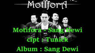 Motifora - Sang Dewi // lirik dan chord