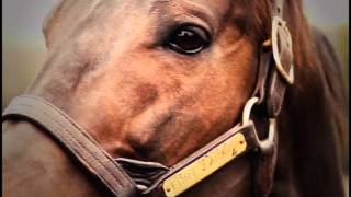 Gulfstream Park West Replay show | October 21, 2015