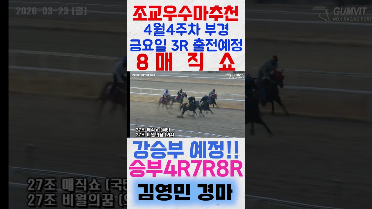 4월4주차 부경 금요일 3경주 출전예정 '8매직쇼'꼭! 주목해보세요! #shorts #김영민경마 #경마