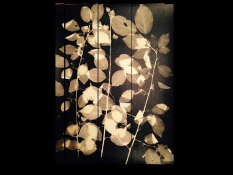 ოპტიკური არაცნობიერი - the optical unconsciousness