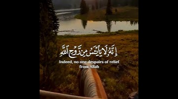 ولا تيأسوا من روح الله - اسلام صبحي 💜 حالات واتس اب قران ❤ تلاوة خاشعة💙Quran Status💜اية قرانية قصيره