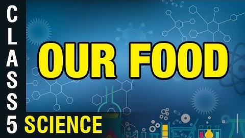 Our Food | 5th Class General science | Digital Teacher