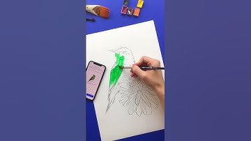 Learn to draw with Sketchar mobile app 🤳