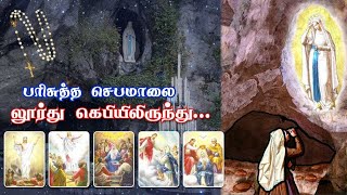 பிரான்சு லூர்து மாதா கெபியிலிருந்து தமிழில் செபமாலை || 20.04.2025