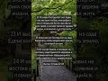Библия, Бытие 3:22-24 #bible #jesus #amin #god #god