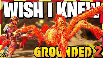 GROUNDED 2 Wish I Knew Top Tips! Tool Upgrades! Disk Unlocks! Resources Finder! Combat & More!