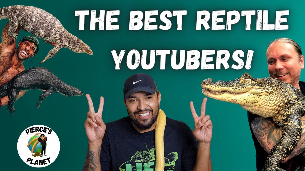 These Are The Best Reptile Channels On Youtube!!! Who Do I Watch The