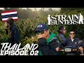 Strain Hunters: Thailand Expedition Episode 02