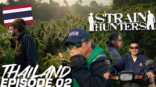 Strain Hunters: Thailand Expedition Episode 02