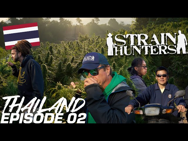 Strain Hunters: Thailand Expedition Episode 02 class=