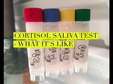 Cortisol Saliva Lab Work for Hormone Testing | What The Test Is