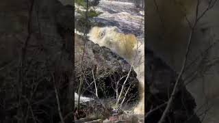 Kawishiwi Falls, Ely Mn - This Is The Highest The Water Levels Have Ever Been. May, 2022